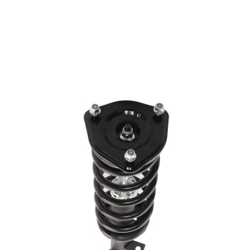 Suspension Strut and Coil Spring Assembly