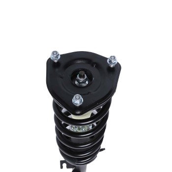 Suspension Strut and Coil Spring Assembly