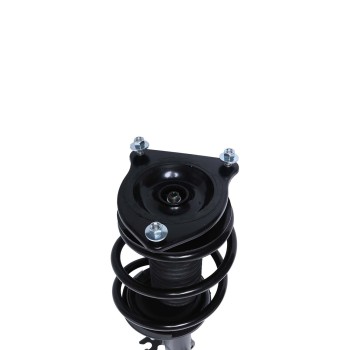 Suspension Strut and Coil Spring Assembly