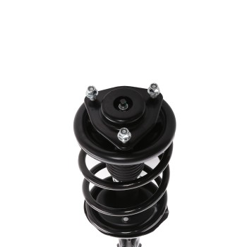 Suspension Strut and Coil Spring Assembly