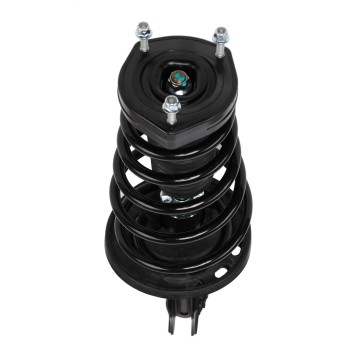 Suspension Strut and Coil Spring Assembly