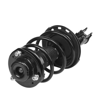 Suspension Strut and Coil Spring Assembly