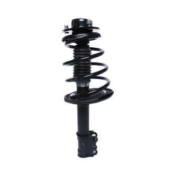 Suspension Strut and Coil Spring Assembly