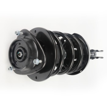 Suspension Strut and Coil Spring Assembly
