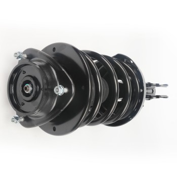 Suspension Strut and Coil Spring Assembly