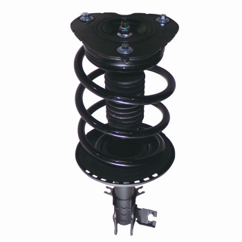 Suspension Strut and Coil Spring Assembly