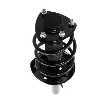 Suspension Strut and Coil Spring Assembly