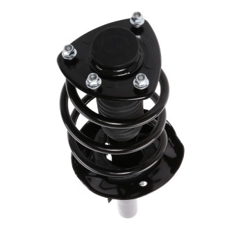 Suspension Strut and Coil Spring Assembly