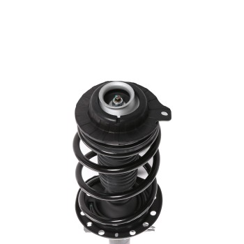 Suspension Strut and Coil Spring Assembly