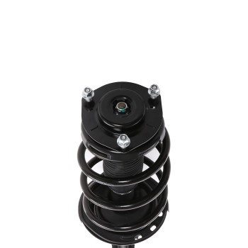 Suspension Strut and Coil Spring Assembly