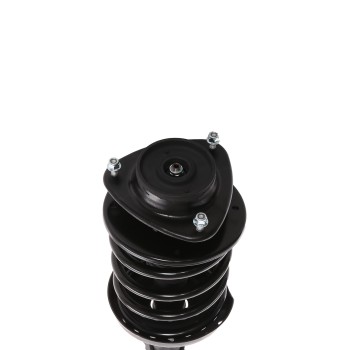 Suspension Strut and Coil Spring Assembly