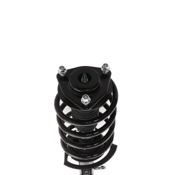 Suspension Strut and Coil Spring Assembly