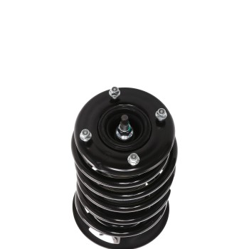 Suspension Strut and Coil Spring Assembly