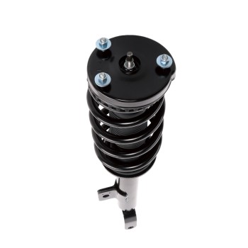 Suspension Strut and Coil Spring Assembly