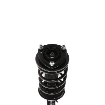 Suspension Strut and Coil Spring Assembly