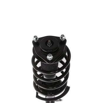 Suspension Strut and Coil Spring Assembly