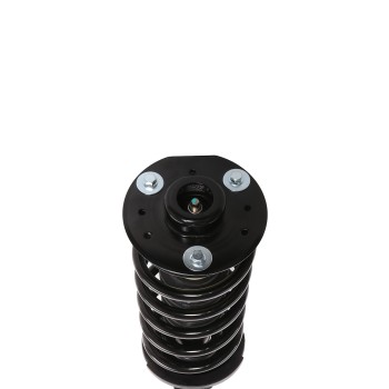 Suspension Strut and Coil Spring Assembly