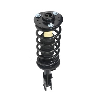 Suspension Strut and Coil Spring Assembly