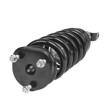 Suspension Strut and Coil Spring Assembly