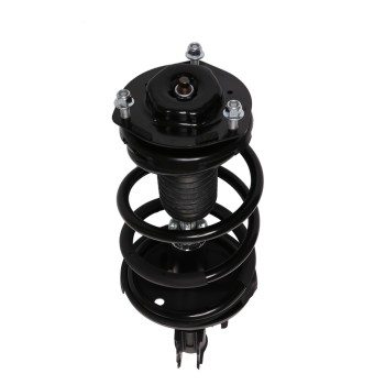 Suspension Strut and Coil Spring Assembly