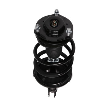 Suspension Strut and Coil Spring Assembly