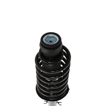 Suspension Strut and Coil Spring Assembly