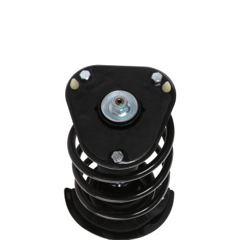 Suspension Strut and Coil Spring Assembly