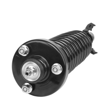 Suspension Strut and Coil Spring Assembly