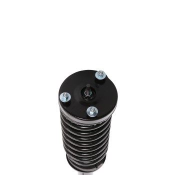 Suspension Strut and Coil Spring Assembly