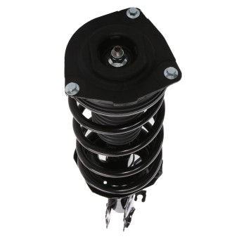 Suspension Strut and Coil Spring Assembly