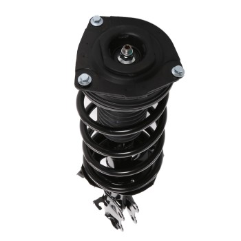 Suspension Strut and Coil Spring Assembly