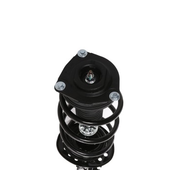 Suspension Strut and Coil Spring Assembly