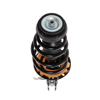 Suspension Strut and Coil Spring Assembly