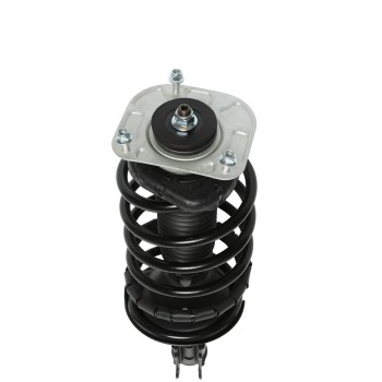Suspension Strut and Coil Spring Assembly
