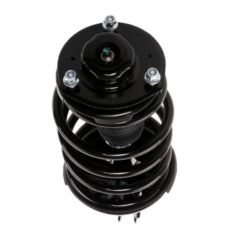 Suspension Strut and Coil Spring Assembly