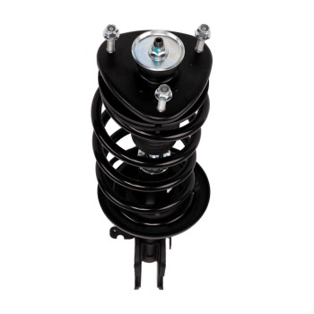 Suspension Strut and Coil Spring Assembly