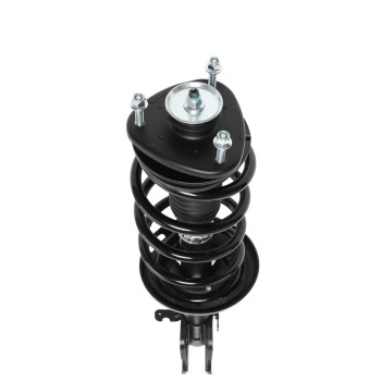 Suspension Strut and Coil Spring Assembly