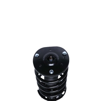 Suspension Strut and Coil Spring Assembly