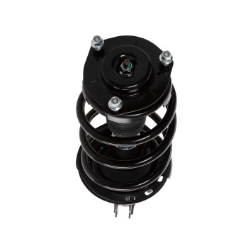 Suspension Strut and Coil Spring Assembly