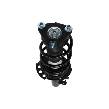 Suspension Strut and Coil Spring Assembly