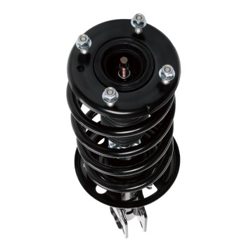 Suspension Strut and Coil Spring Assembly