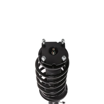 Suspension Strut and Coil Spring Assembly