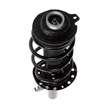 Suspension Strut and Coil Spring Assembly