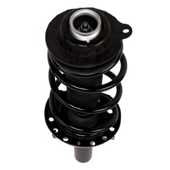 Suspension Strut and Coil Spring Assembly