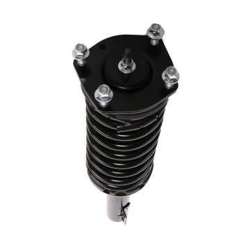 Suspension Strut and Coil Spring Assembly