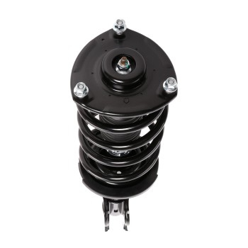 Suspension Strut and Coil Spring Assembly