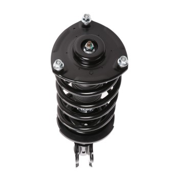 Suspension Strut and Coil Spring Assembly