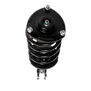 Suspension Strut and Coil Spring Assembly