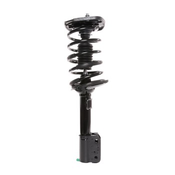 Suspension Strut and Coil Spring Assembly