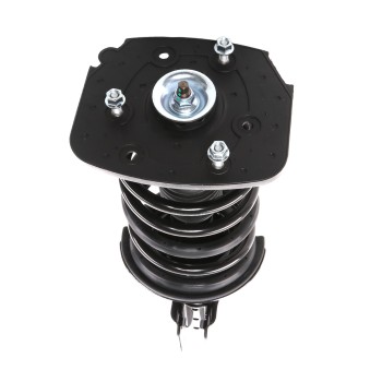 Suspension Strut and Coil Spring Assembly